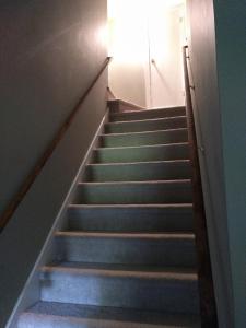 una escalera con escaleras azules con una puerta en un edificio en Private, Spacious Studio Apartment, Bath, Quiet en Chesapeake