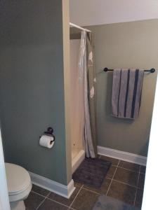 y baño con ducha, aseo y toallas. en Private, Spacious Studio Apartment, Bath, Quiet, en Chesapeake