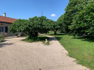 Ogród w obiekcie gîte La Longère bleue