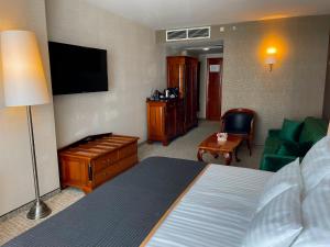Televiisor ja/või meelelahutuskeskus majutusasutuses Hotel Divinus