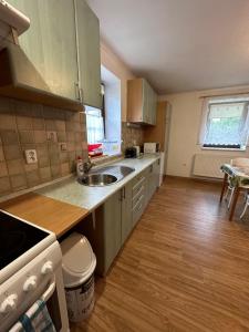 a kitchen with green cabinets and a wooden floor at Domeček u Terčina Údolí in Nové Hrady