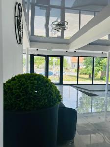 Zahrada ubytování Hotel Gloria