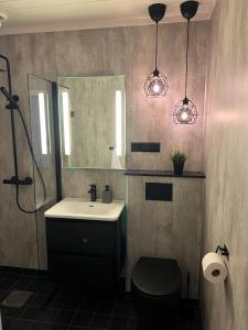 a bathroom with a sink and a mirror and a toilet at Tunold Gård - Kårhus in Mindresunde