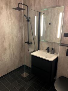 een badkamer met een wastafel, een douche en een spiegel bij Tunold Gård - Kårhus in Mindresunde
