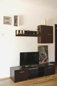 TV a/nebo společenská místnost v ubytování Zsh Apartment