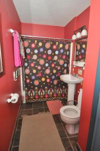 y baño con aseo y cortina de ducha. en Cabin at Sleepy Creek - Charming Cabin, en Berkeley Springs