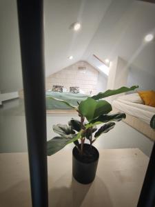 Zdjęcie z galerii obiektu M&K Apartament Magiczny Las, Gdańsk - Wyspa Sobieszewska w Gdańsku