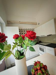 Kuchnia lub aneks kuchenny w obiekcie M&K Apartament Magiczny Las, Gdańsk - Wyspa Sobieszewska