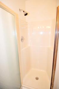 a shower with a shower head in a bathroom at River Valley Cabin - Riverfront Cabin in Morton Grove +22 photos