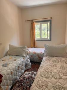 a bedroom with two beds and a window at Hôtel Restaurant ASGAOUR in Amlouggui
