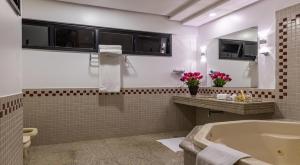 Hotel Dan Inn Uberlandia By Nacional Inn的一间浴室