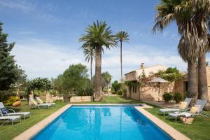 a swimming pool in a yard with palm trees at Agroturismo Es Pla De Llodrá in Manacor