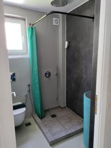 La salle de bains est pourvue d'une douche et de toilettes. dans l'établissement Staying in Athens, à Athènes