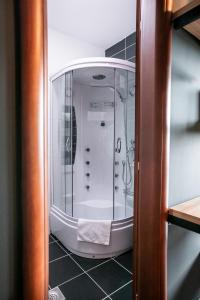 a walk in shower in a bathroom with a shower at Forma Mountain Lux Apartments in Žabljak