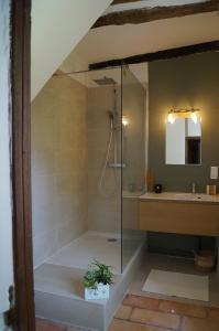 ein Bad mit einer Dusche und einem Waschbecken in der Unterkunft Chambre d'Hôte dans MAS proche Anduze Cévennes avec piscine in Mialet