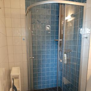 a bathroom with a shower with blue tiles at Villa Kungssten in Gothenburg