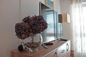 un vase avec une plante devant une télévision dans l'établissement Cozy Apartment Skalini, à Dubrovnik