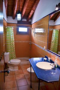 ein Badezimmer mit einem blauen Waschbecken und einer Toilette in der Unterkunft Casa Rural Cortijo el Plantío in Castril + 9 Fotos