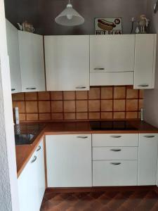 Kuchyň nebo kuchyňský kout v ubytování Le Chat Riant