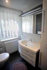 a bathroom with a sink and a toilet and a window at Ferienwohnung Nachtigall in Burg