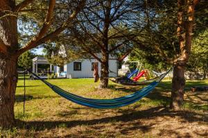 a hammock hanging between two trees in a yard at Letnisko Lubiatowo in Lubiatowo