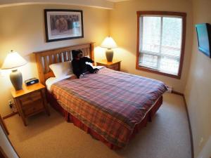un perro sentado en una cama en un dormitorio en Fireside Lodge #302 By Bear Country, en Sun Peaks