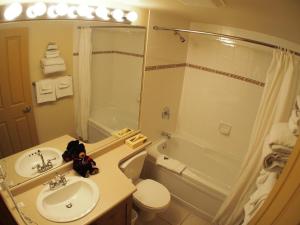 a bathroom with a sink and a toilet and a shower at Fireside Lodge #302 By Bear Country in Sun Peaks