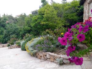 Vonkajšia záhrada v ubytovaní Lavender Hill Hvar Villa - pool, jacuzzi,sauna,BBQ