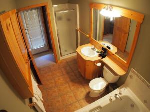 a bathroom with a sink and a toilet and a mirror at Crystal Forest #07 By Bear Country in Sun Peaks