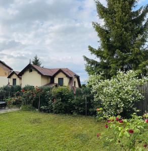 un patio con una casa, un árbol y una valla en Drumul Poienii Apartment, en Brasov