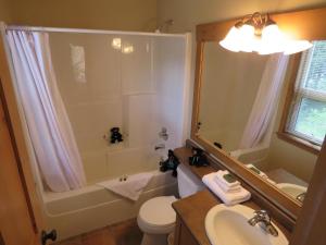 a bathroom with a shower and a toilet and a sink at Crystal Forest #63 By Bear Country in Sun Peaks