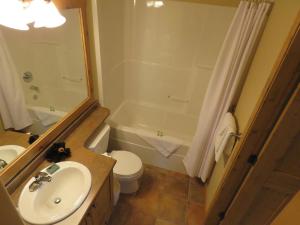 a bathroom with a sink and a toilet and a shower at Crystal Forest #63 By Bear Country in Sun Peaks