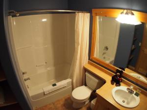uma casa de banho com um WC, um lavatório e um chuveiro em Crystal Forest #04 By Bear Country em Sun Peaks