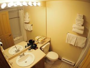 a bathroom with a sink and a toilet and a mirror at Fireside Lodge #223 By Bear Country in Sun Peaks