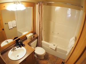 a bathroom with a sink and a toilet and a shower at Crystal Forest #62 By Bear Country in Sun Peaks
