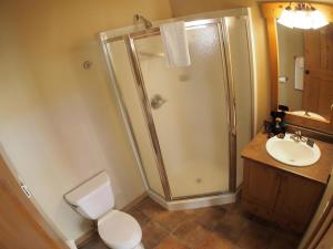 a bathroom with a shower and a toilet and a sink at Crystal Forest #60 By Bear Country in Sun Peaks