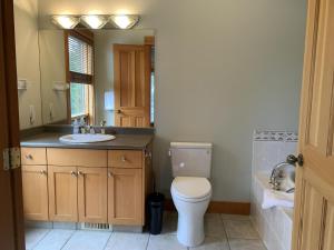 a bathroom with a toilet and a sink and a mirror at On the Run Chalet by Bear Country in Sun Peaks +35 photos