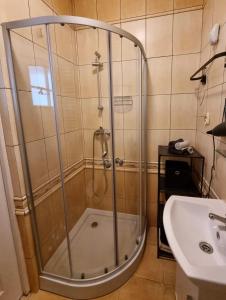 een douche met een glazen deur naast een wastafel bij Apartament Korzeniowskiego 7 in Przemyśl
