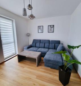 Зона вітальні в Apartament Korzeniowskiego 7