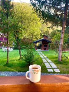 una tazza di caffè seduta sopra un tavolo di legno di Casa Phoenix a Băişoara