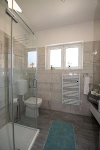 uma casa de banho com um WC e uma cabina de duche em vidro. em APARTMAN RUBINIĆ em Ičići