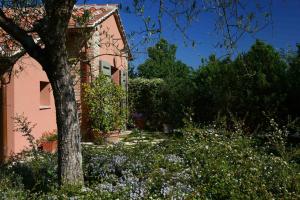Zahrada ubytování Le Palazze B&b