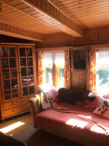 ein Schlafzimmer mit einem Sofa in einem Zimmer mit Fenstern in der Unterkunft Chata filozofa in Skawica