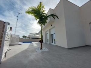 eine Palme im Innenhof eines Hauses in der Unterkunft Villa María in Alicante