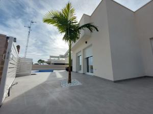 a palm tree in the courtyard of a house at Villa María in Alicante