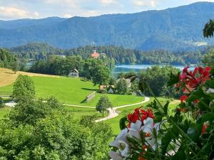 a view of a green field with a lake and mountains at Oriana Studios in Bled