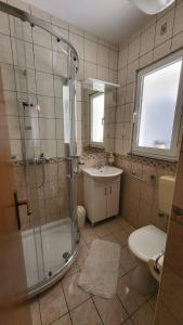 a bathroom with a shower and a toilet and a sink at VILLA Apartments Mate Cebalo in Lumbarda