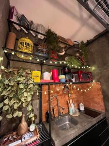 a kitchen with a sink and a shelf with plants at Experience 41 in Sao Paulo