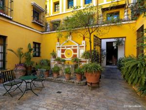 
a garden area with plants and a clock on the wall at Hotel Las Casas de la Judería in Seville
