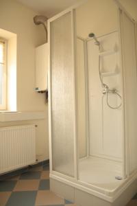 ピエシツェにあるGóry Sowie Apartament z osobnym wejściemのバスルーム(ガラスドア付きのシャワー付)